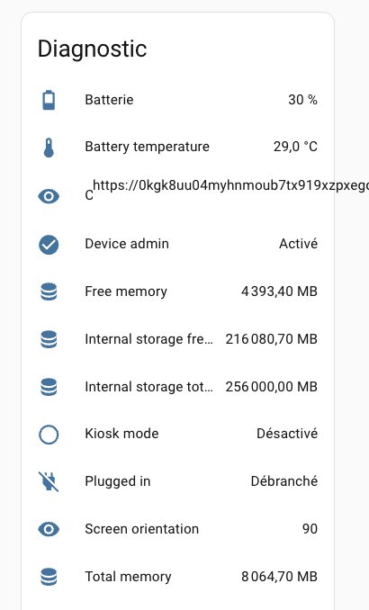 Fully Kiosk Browser Diagnostic panel: battery level 30%, temperature, available memory and device status